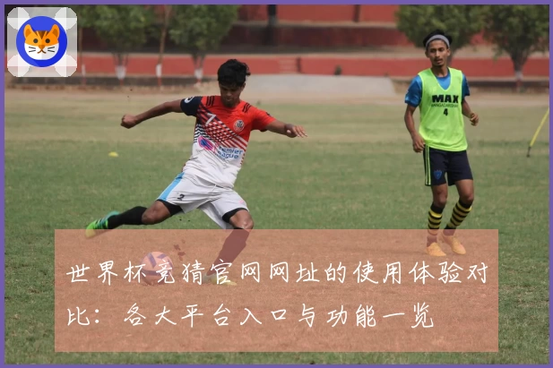 世界杯竞猜官网网址的使用体验对比：各大平台入口与功能一览