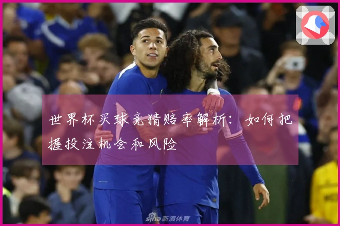 世界杯买球竞猜赔率解析：如何把握投注机会和风险
