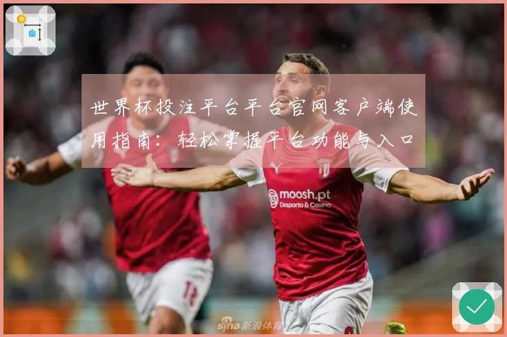 世界杯投注平台平台官网客户端使用指南：轻松掌握平台功能与入口体验