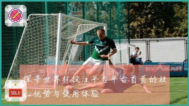 探寻世界杯投注平台平台首页的核心优势与使用体验