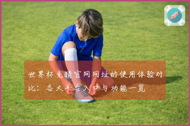 世界杯竞猜官网网址的使用体验对比：各大平台入口与功能一览