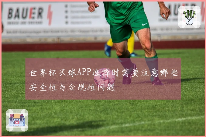 世界杯买球APP选择时需要注意哪些安全性与合规性问题