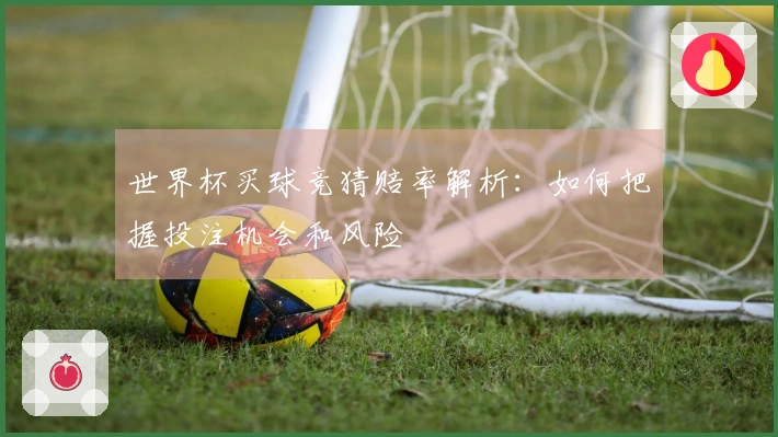 世界杯买球竞猜赔率解析：如何把握投注机会和风险