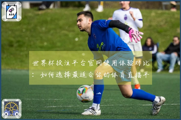世界杯投注平台官网使用体验对比：如何选择最适合你的体育直播平台