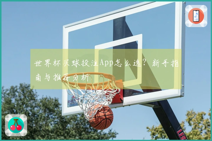 世界杯买球投注App怎么选？新手指南与推荐分析