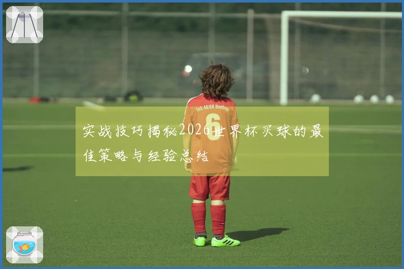 实战技巧揭秘2026世界杯买球的最佳策略与经验总结