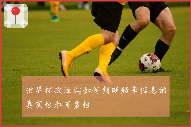 世界杯投注站如何判断赔率信息的真实性和可靠性