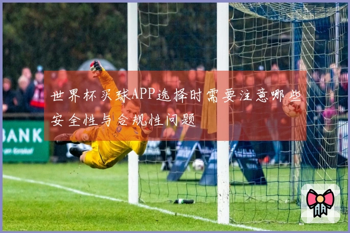 世界杯买球APP选择时需要注意哪些安全性与合规性问题