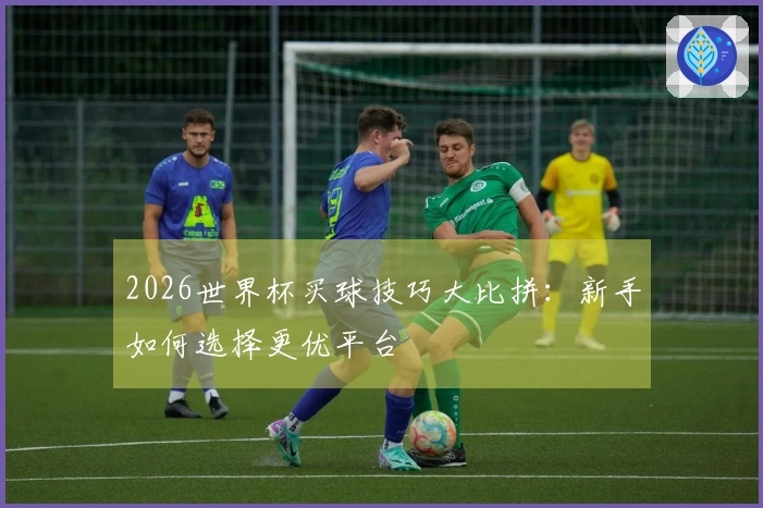 2026世界杯买球技巧大比拼：新手如何选择更优平台