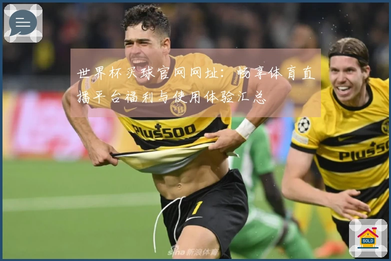 世界杯买球官网网址：畅享体育直播平台福利与使用体验汇总