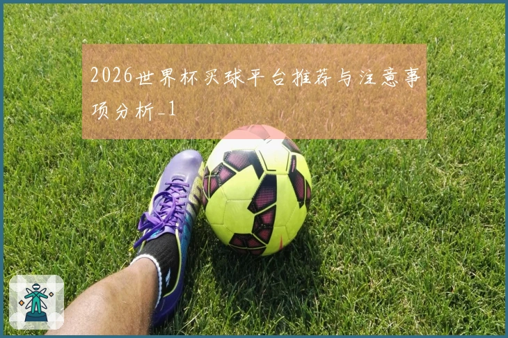 2026世界杯买球平台推荐与注意事项分析_1